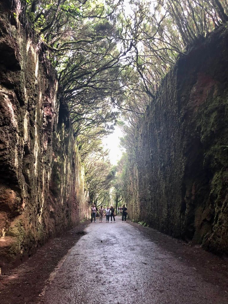 Anaga National Park - Tenerife